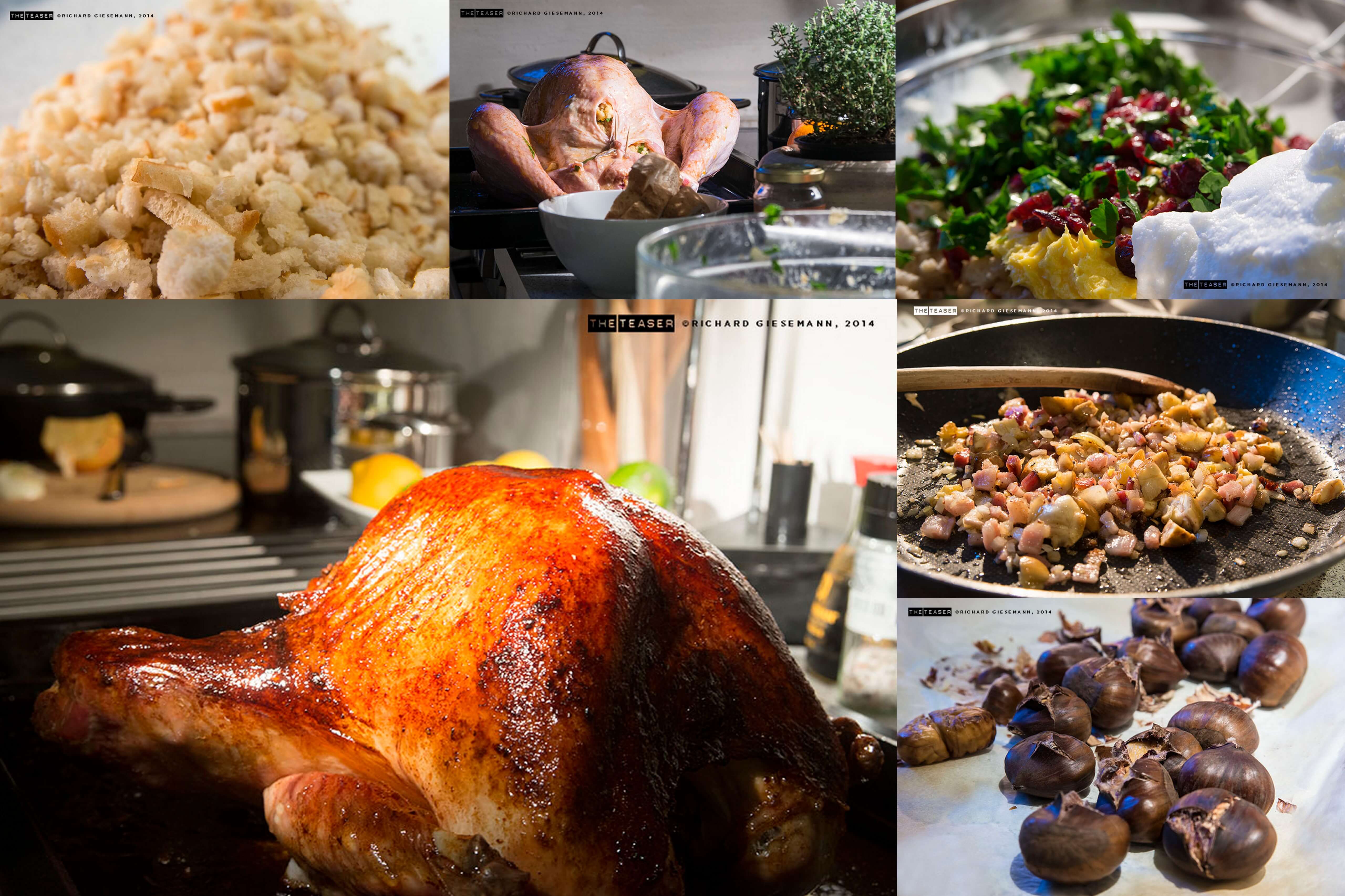 Gefüllter Truthahn.... - Gudrun von Mödling