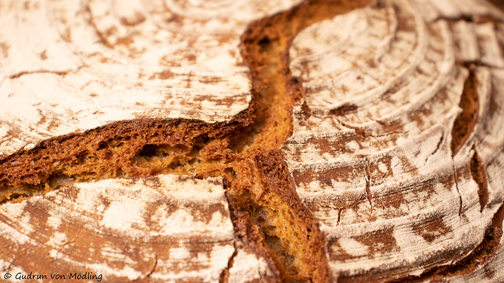 Einfaches Bauernbrot – Gudrun von Mödling