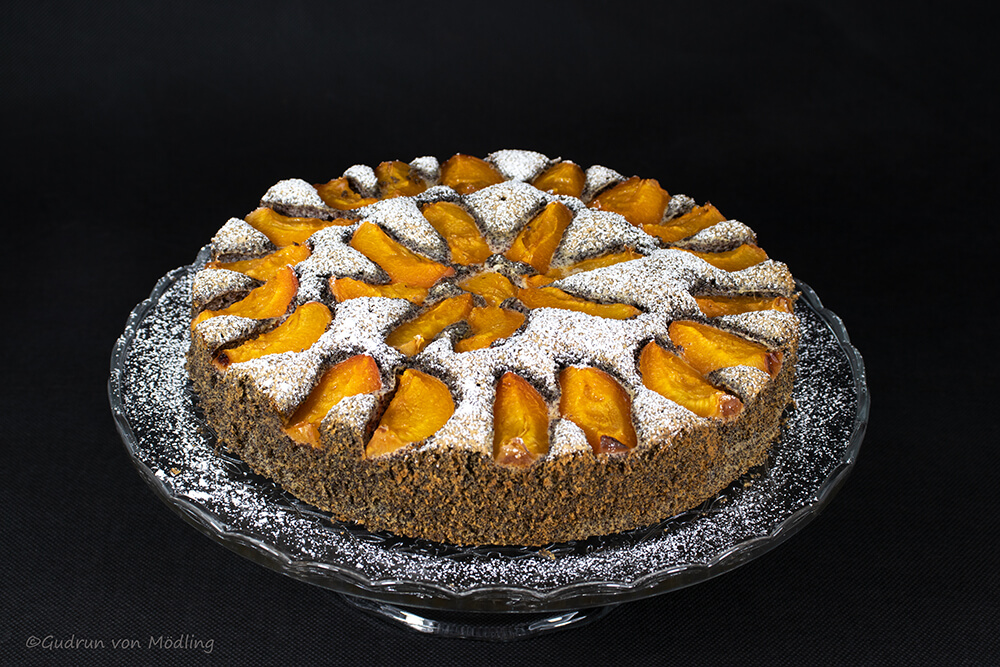 Mohn-Marillen-Kuchen – Gudrun von Mödling