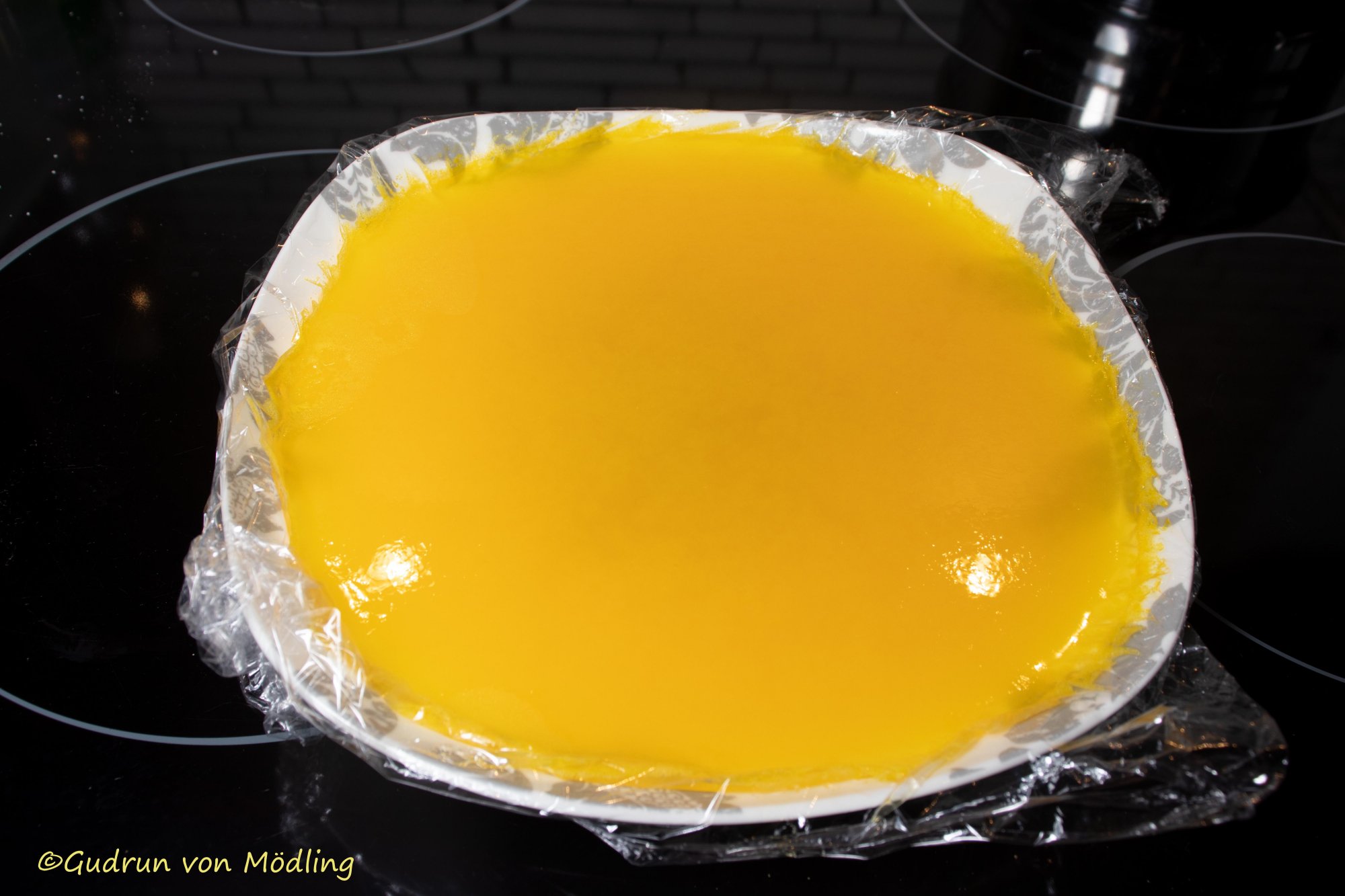 Orangen-Schokoladen Traum Torte - Gudrun von Mödling