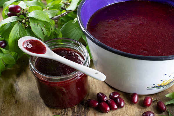Buch Nr. 2: “Himmlisch einfach – einfach himmlisch” – Kekse backen mit Gudrun von Mödling