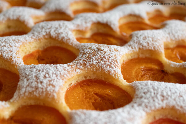 Eierlikör Marillenkuchen vom BlechMarillenkuchen – Gudrun von Mödling